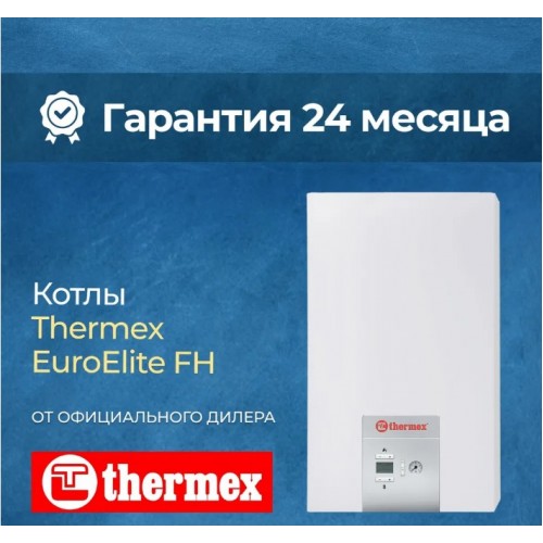 Газовый котел THERMEX EUROELITE FH 24 (одноконтурный) купить в Томске 