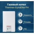 Газовый котел Thermex EuroElite FH10 одноконтурный 10 кВт купить в Томске