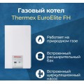 Газовый котел Thermex EuroElite FH40 одноконтурный 40 кВт купить в Томске